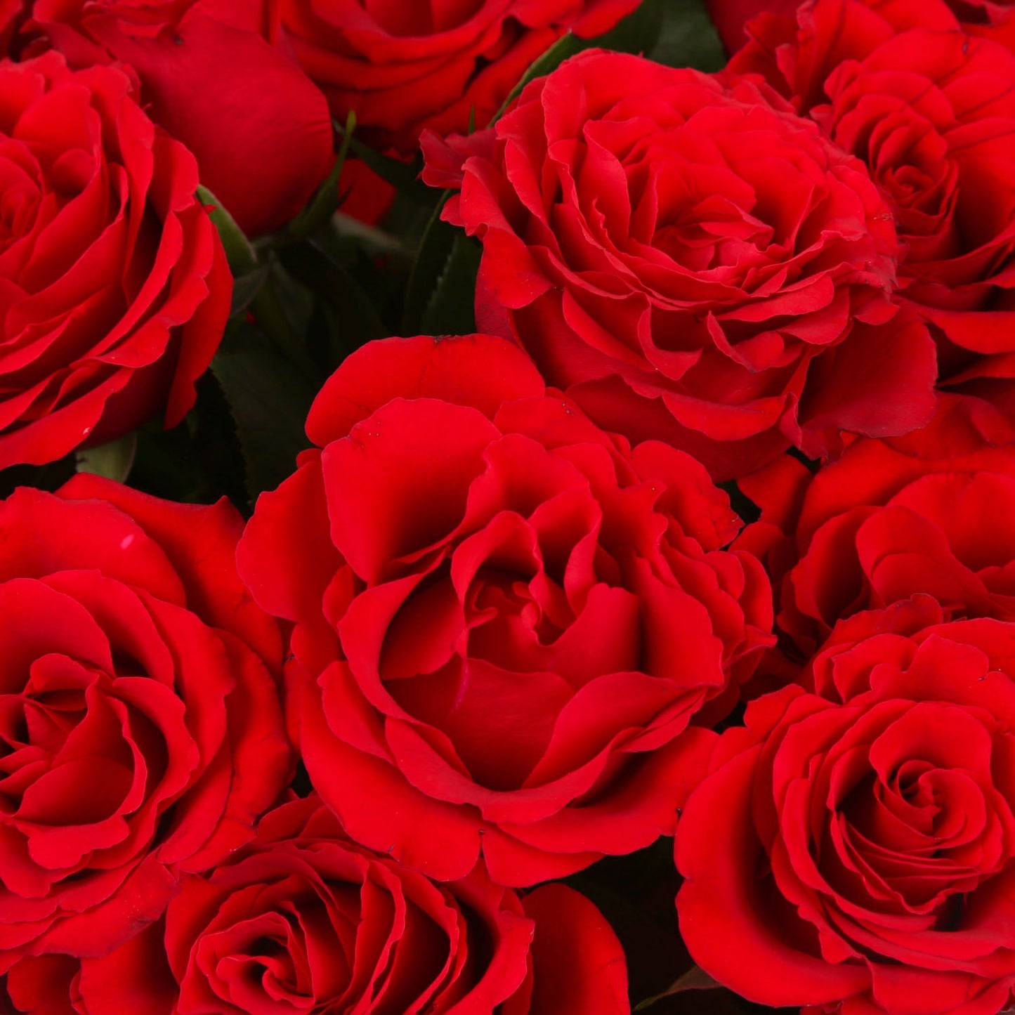 Red Roses Bouquets