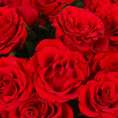Red Roses Bouquets