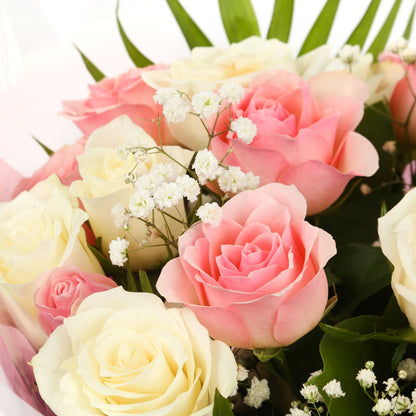 20 Sweet Pink & White Roses